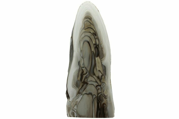 Polished, Striped Flint Stand Up - Poland #228150